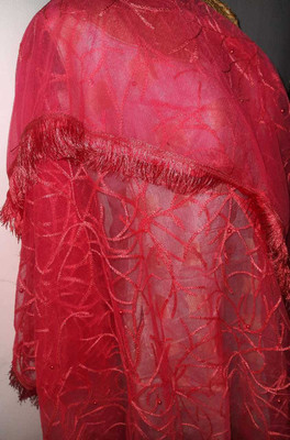 scope creations Net Embroidered Women Dupatta