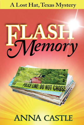 Flash Memory(English, Paperback, Castle Anna)