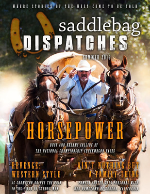 Saddlebag Dispatches-Summer, 2016(English, Paperback, unknown)