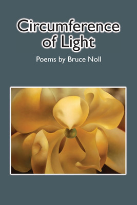 Circumference of Light(English, Paperback, Noll Bruce)
