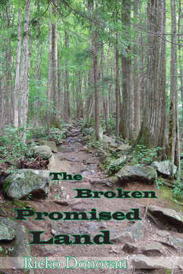 The Broken Promised Land(English, Paperback, Donovan Ricko)
