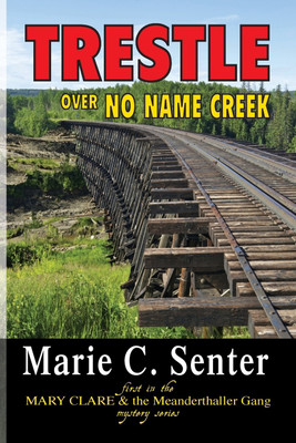 Trestle Over No Name Creek(English, Paperback, Senter Marie C)