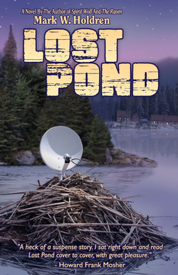Lost Pond(English, Paperback, Holdren Mark W)