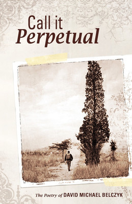 Call It Perpetual(English, Paperback, Belczyk David Michael)