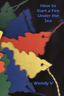 How to Start a Fire Under the Sea(English, Paperback, V Wendy)