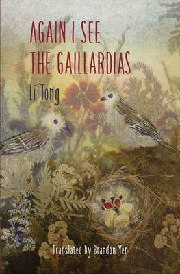 Again I See the Gaillardias(English, Paperback, Li Tong)