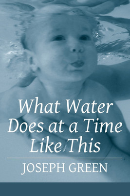 What Water Does at a Time Like This(English, Paperback, Green Joseph)