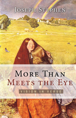 More Than Meets the Eye(English, Paperback, Stephen Joseph Kelton)