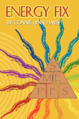 Energy Fix(English, Paperback, Hayes Connie Lynn)
