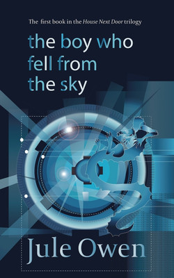 The Boy Who Fell from the Sky(English, Paperback, Owen Jule)