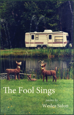 The Fool Sings(English, Paperback, Weslea Sidon)