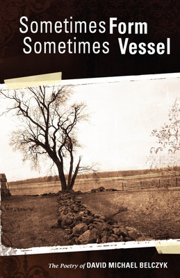 Sometimes Form Sometimes Vessel(English, Paperback, Belczyk David Michael)