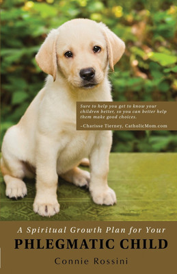 A Spiritual Growth Plan for Your Phlegmatic Child(English, Paperback, Rossini Connie)