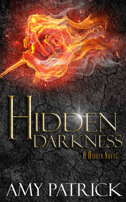 Hidden Darkness, Book 4 of the Hidden Saga(English, Paperback, Patrick Amy)