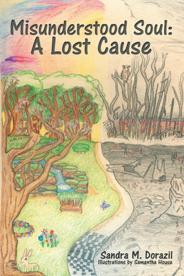 Misunderstood Soul(English, Paperback, Dorazil Sandra M)