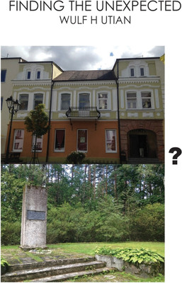 Finding the Unexpected(English, Paperback, Utian Wulf H)