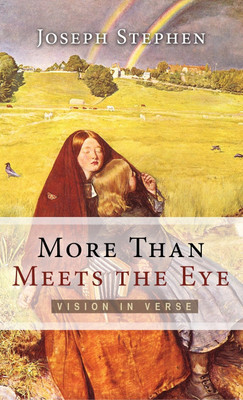 More Than Meets The Eye(English, Hardcover, Stephen Joseph Kelton)