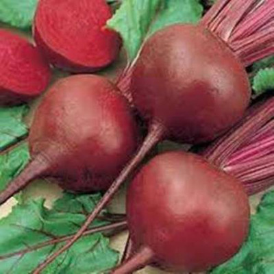 Chalisa Beetroot Seed(20 per packet)