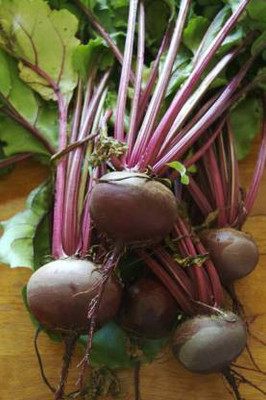 Chalisa Beetroot Seed(16 per packet)