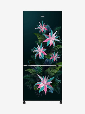 Haier 256 L Frost Free Double Door Bottom Mount 3 Star Refrigerator(Green Tropical, HRB-2764CGT-E)