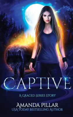 Captive(English, Paperback, Amanda Pillar)