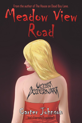 Meadow View Road(English, Paperback, Johnson Carter)