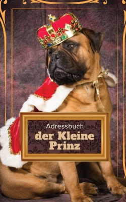 Adressbuch der Kleine Prinz(German, Paperback, Us Journals R)