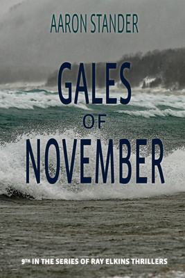 Gales of November(English, Paperback, Stander Aaron)