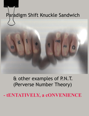 Paradigm Shift Knuckle Sandwich(English, Paperback, A Convenience Tentatively)