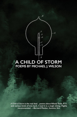 A Child of Storm(English, Paperback, Wilson Michael J MR)