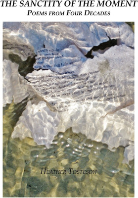 The Sanctity of the Moment(English, Paperback, Tosteson Heather)