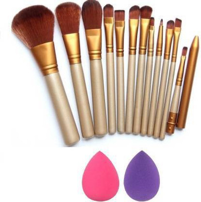 J & F 12 Pc Makeup Brush Set With 2 Blender Puff(Pack of 14)