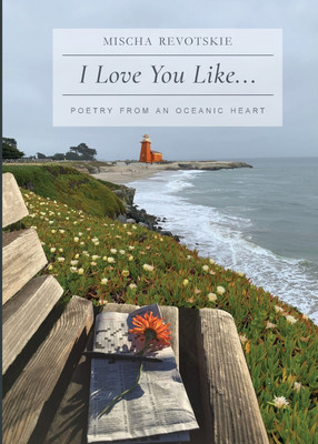 I Love You Like...(English, Paperback, Revotskie Mischa)