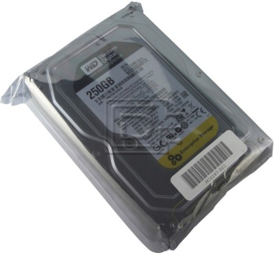 Western Digtal RE4 250 GB Desktop Internal Hard Disk Drive (HDD) (RE4 WD2503ABYX)(Interface: SATA, Form Factor: 3.5 inch)