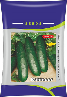 ActrovaX Hybrid Cucumber Kohinoor [2000 Seeds] Seed(2000 per packet)