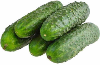ActrovaX Pickles Cucumber [500 Seeds] Seed(500 per packet)