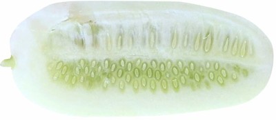 ActrovaX Cucumber Fruit-White [8000 Seeds] Seed(8000 per packet)