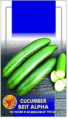 ActrovaX Cucumber Beit Alpha (Imported) Vegetable [2gm Seeds] Seed(2 g)