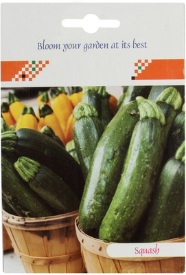 ActrovaX Squash/Zucchini Vegetable [100 Seeds] Seed(100 per packet)
