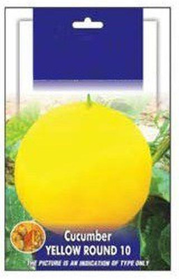 ActrovaX Cucumber Round Yellow Vegetable [20gm Seeds] Seed(20 g)