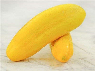 ActrovaX Yellow Indian Cucumber - Cucumber Sambar [500 Seeds] Seed(500 per packet)