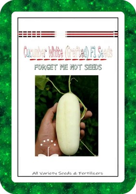 ActrovaX White Cucumber (Grafted) High Quality F1 Hybrid Variety Seed(10 g)