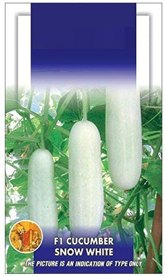 Biosnyg Cucumber F1 White Long Vegetable seeds 20gm Seeds Seed(20 g)