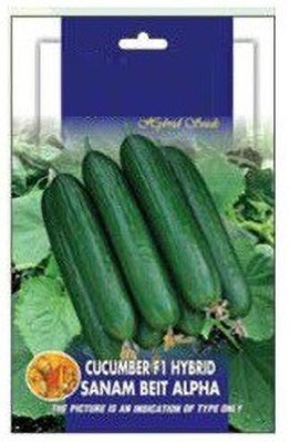ActrovaX Cucumber F1 Sanam Beit Alpha Vegetable [10gm Seeds] Seed(10 g)
