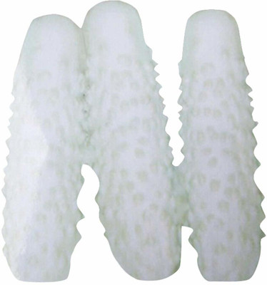 WILLVINE ™Pickles Cucumber Seeds-White Seed(1000 per packet)