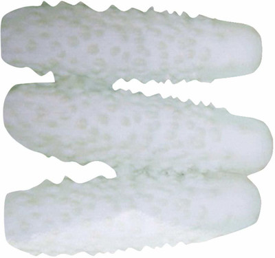 WILLVINE Boston Pickles Cucumber Seeds-White Seed(500 per packet)