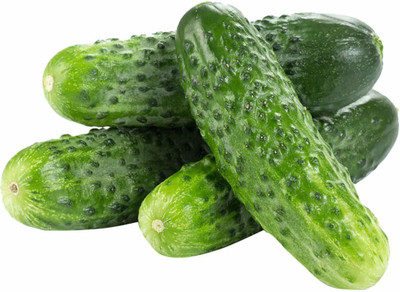 WILLVINE Boston Pickles Cucumber Seeds Seed(149 per packet)