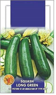 Qualtivate ™ Squash Zucchini Green Long Exotic Seeds(40 Seeds) Seed(40 per packet)