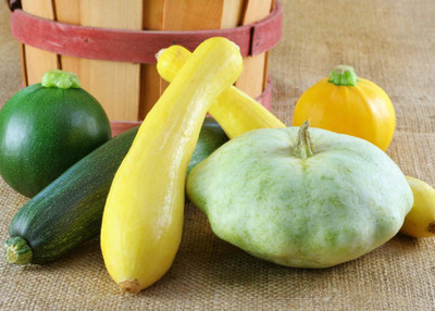 Qualtivate ™ Summer Squash (Mixed In One Pack- Not Seperrated) Seeds (100 Seeds) Seed(100 per packet)