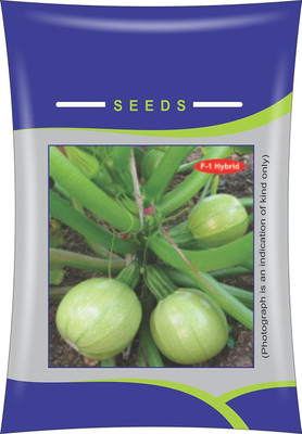 ActrovaX F1 Hybrid Zucchini Round Seed [100 Seeds] Seed(100 per packet)